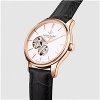 Watch Lucien Rochat Man in Steel yellow gold plated R0421115001 - R0421115001